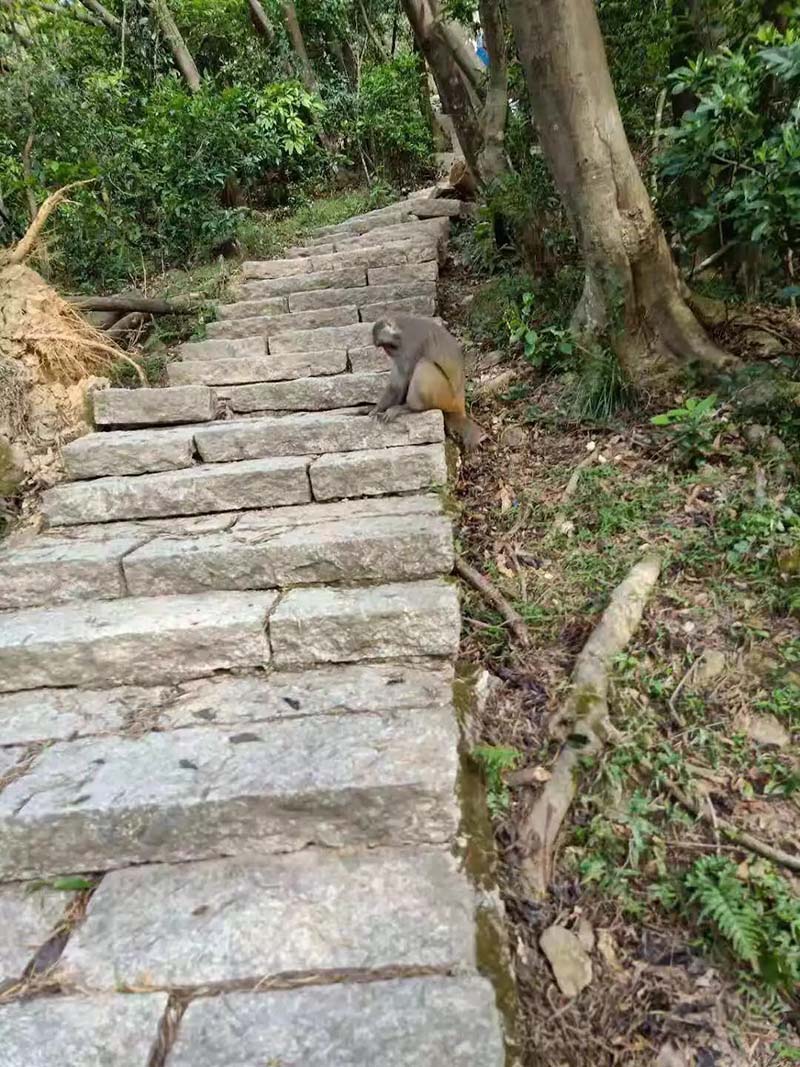 塘朗山攀登之行